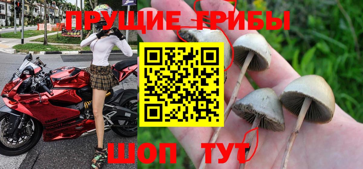 Галлюциногенные грибы прущие грибы  Вход с VPN  Владивосток 