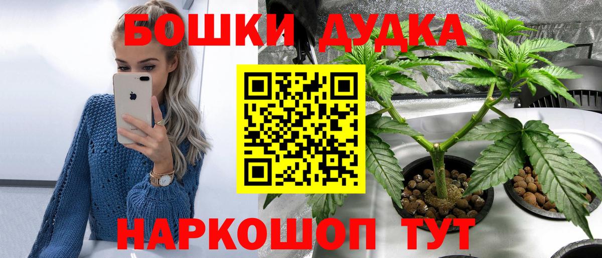 Бошки Шишки семена Владивосток